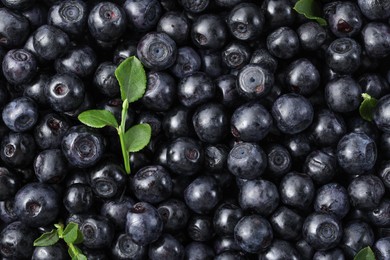 Photo of Many delicious ripe bilberries and green leaves as background, top view