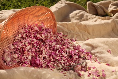 Photo of Overturned basket with dry tea rose petals on beige fabric outdoors