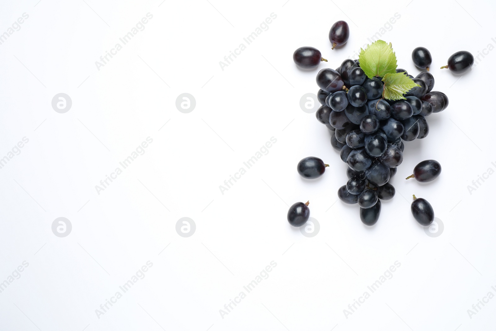 Photo of Bunch of dark blue grapes with leaves on white background, top view