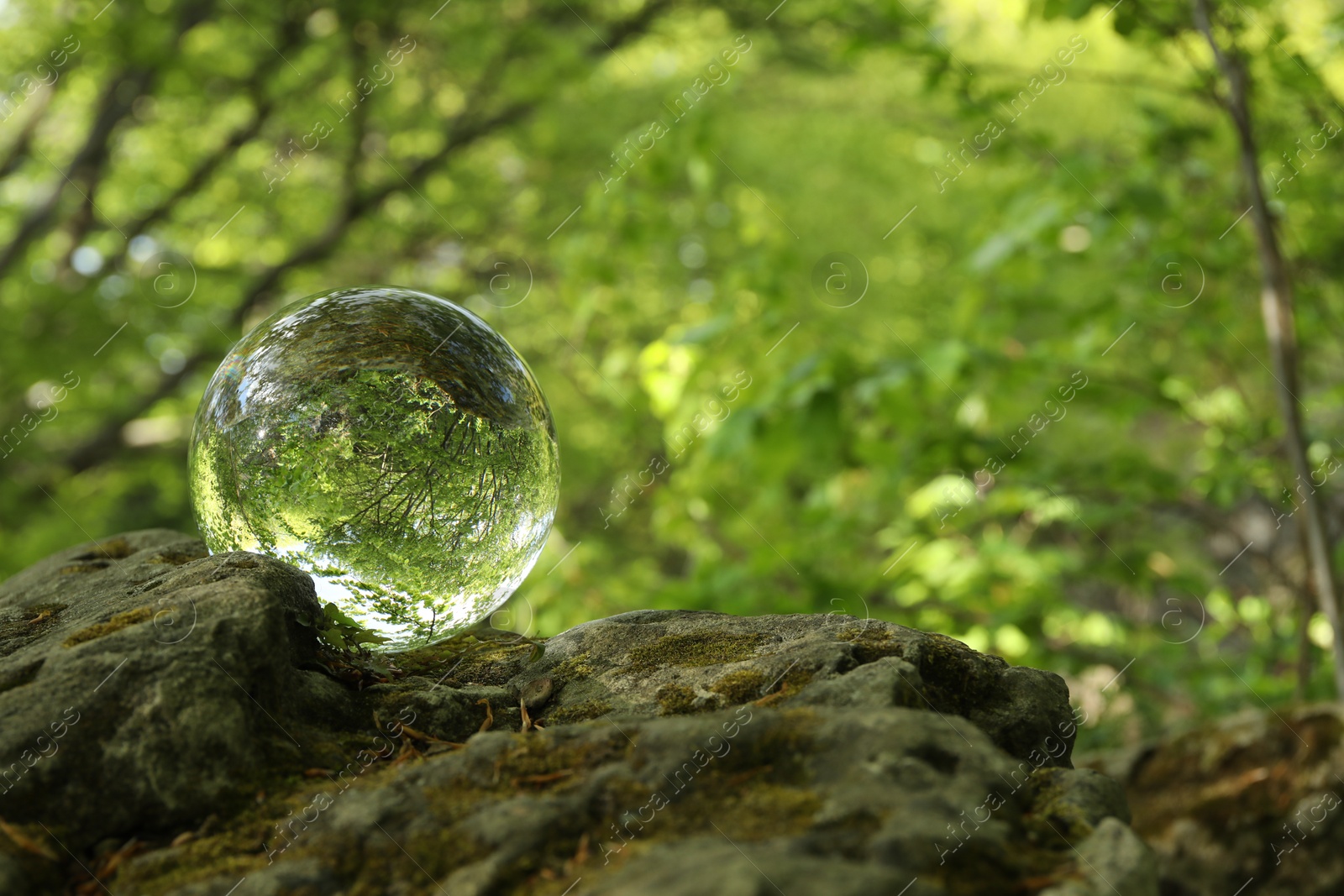 Photo of Beautiful green trees outdoors, overturned reflection. Crystal ball on stone in forest. Space for text