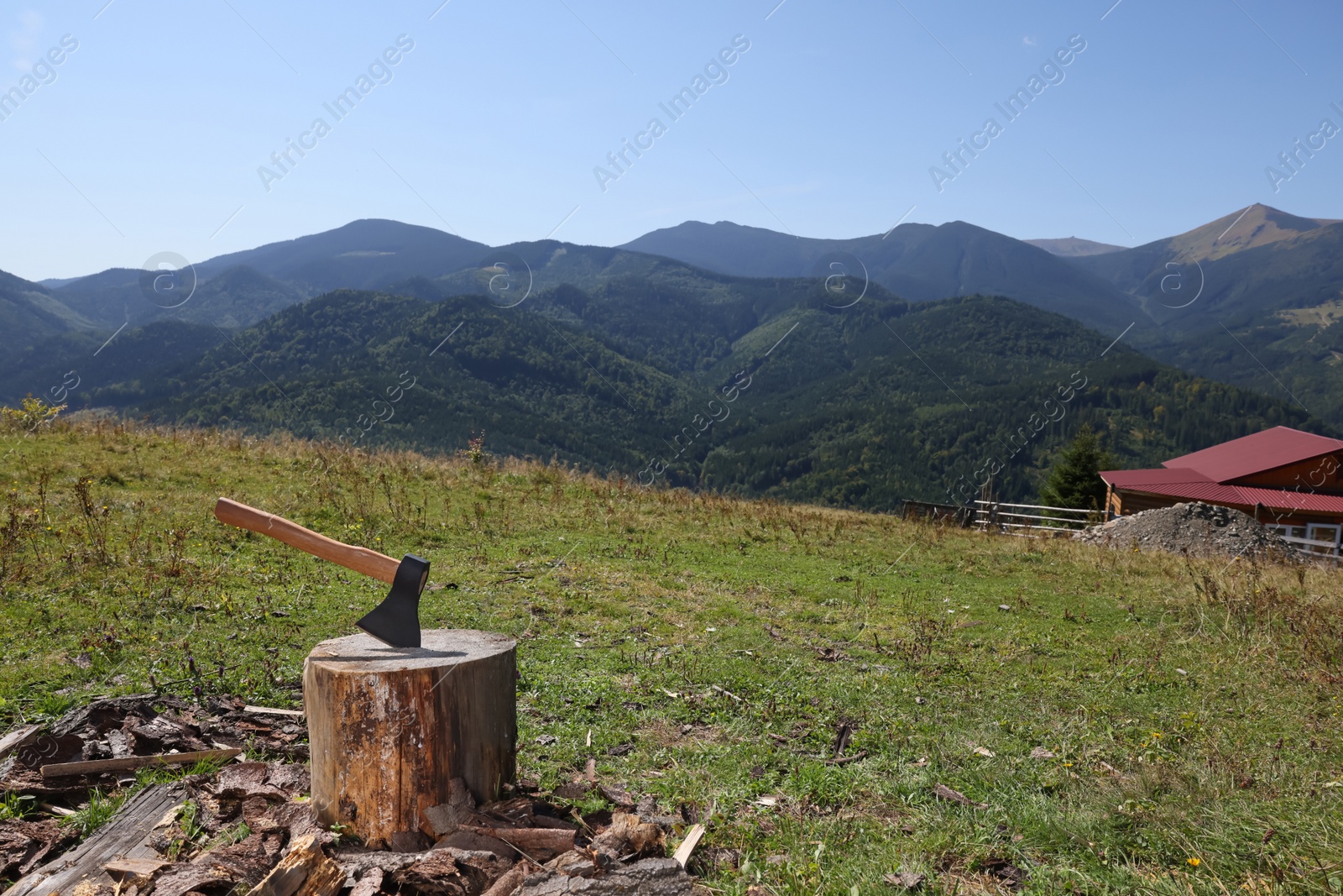 Photo of Tree stump with axe in mountains, space for text