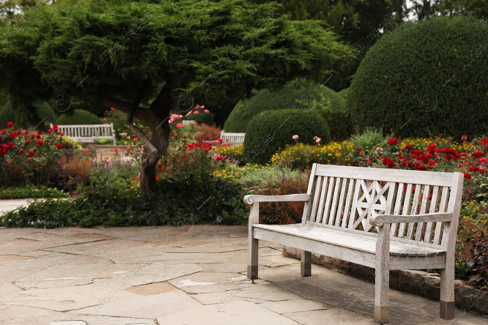 Photo of Stylish wooden bench in beautiful garden on sunny day