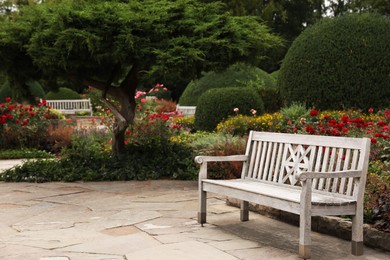 Photo of Stylish wooden bench in beautiful garden on sunny day