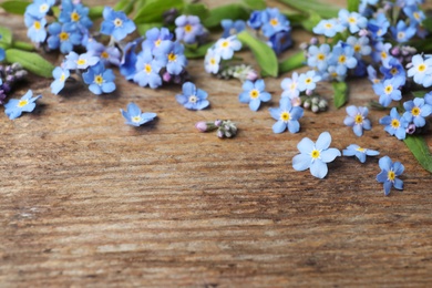 Photo of Beautiful forget-me-not flowers on wooden background, space for text