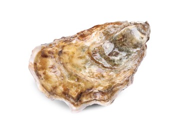 Photo of Fresh raw closed oyster isolated on white