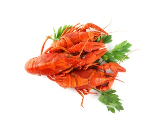 Delicious red boiled crayfishes with parsley isolated on white, top view