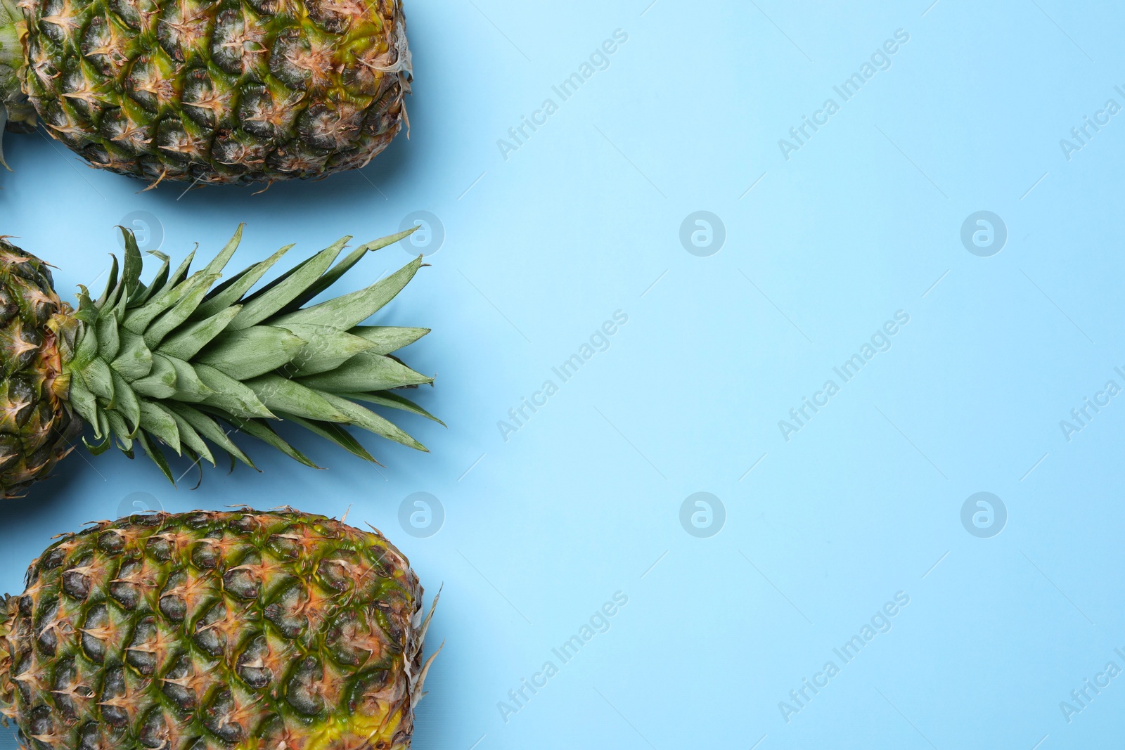 Photo of Whole ripe pineapples on light blue background, flat lay. Space for text