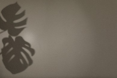 Shadows of monstera leaves on light wall, space for text