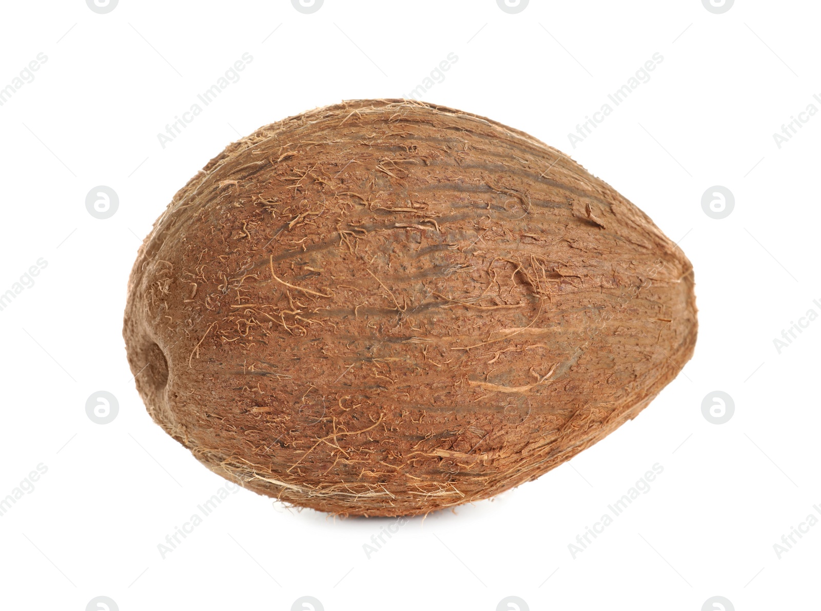 Photo of Ripe whole coconut on white background