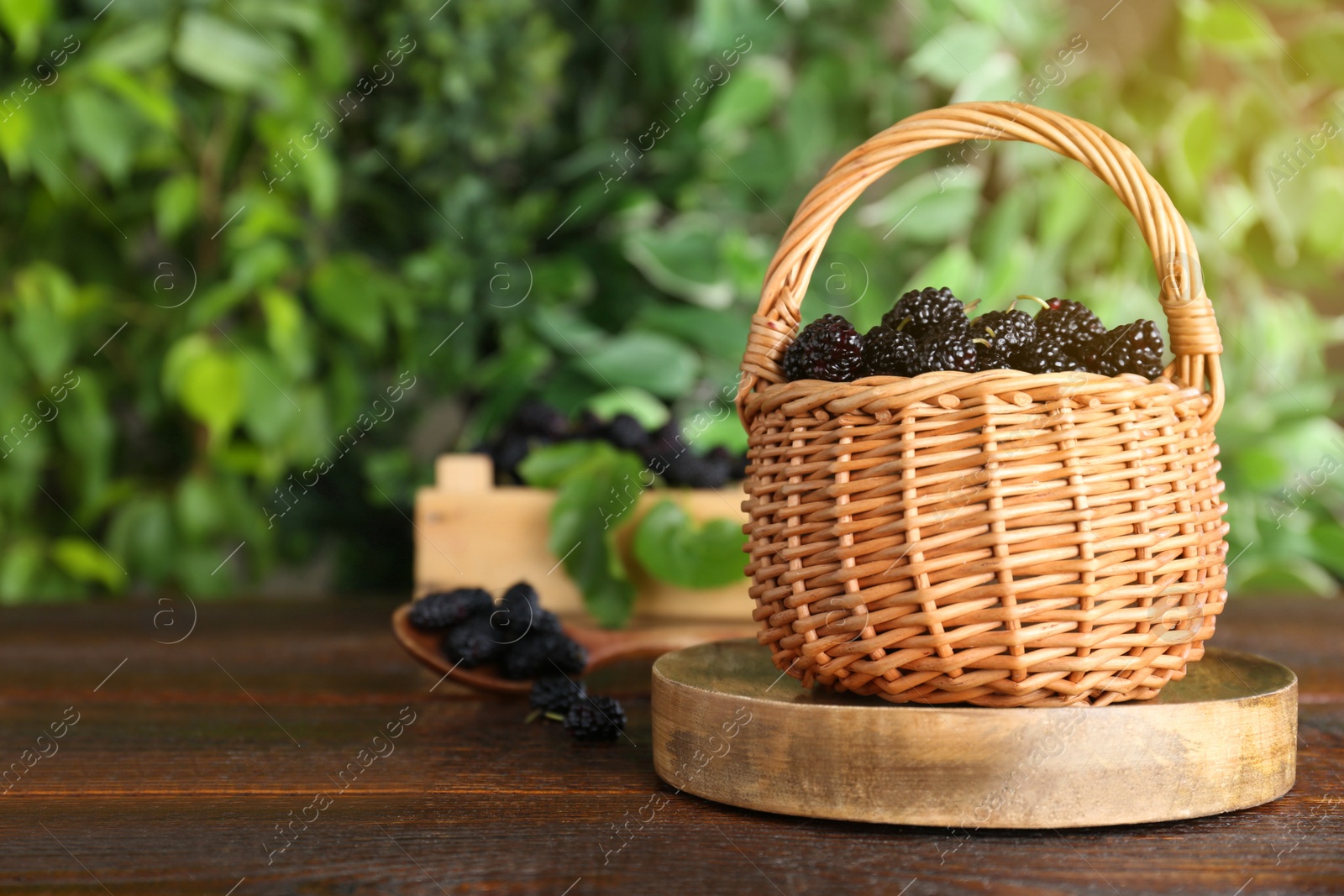 Photo of Fresh ripe black mulberries on wooden table against blurred background. Space for text