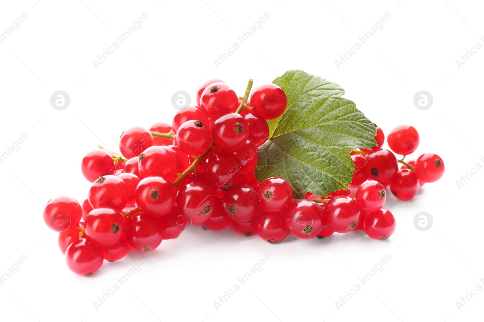 Photo of Delicious ripe red currants isolated on white