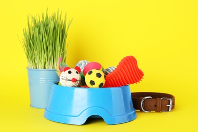 Photo of Various pet toys, bowl and wheatgrass on yellow background