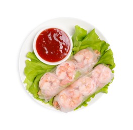 Tasty spring rolls served with lettuce and sauce on white background, top view