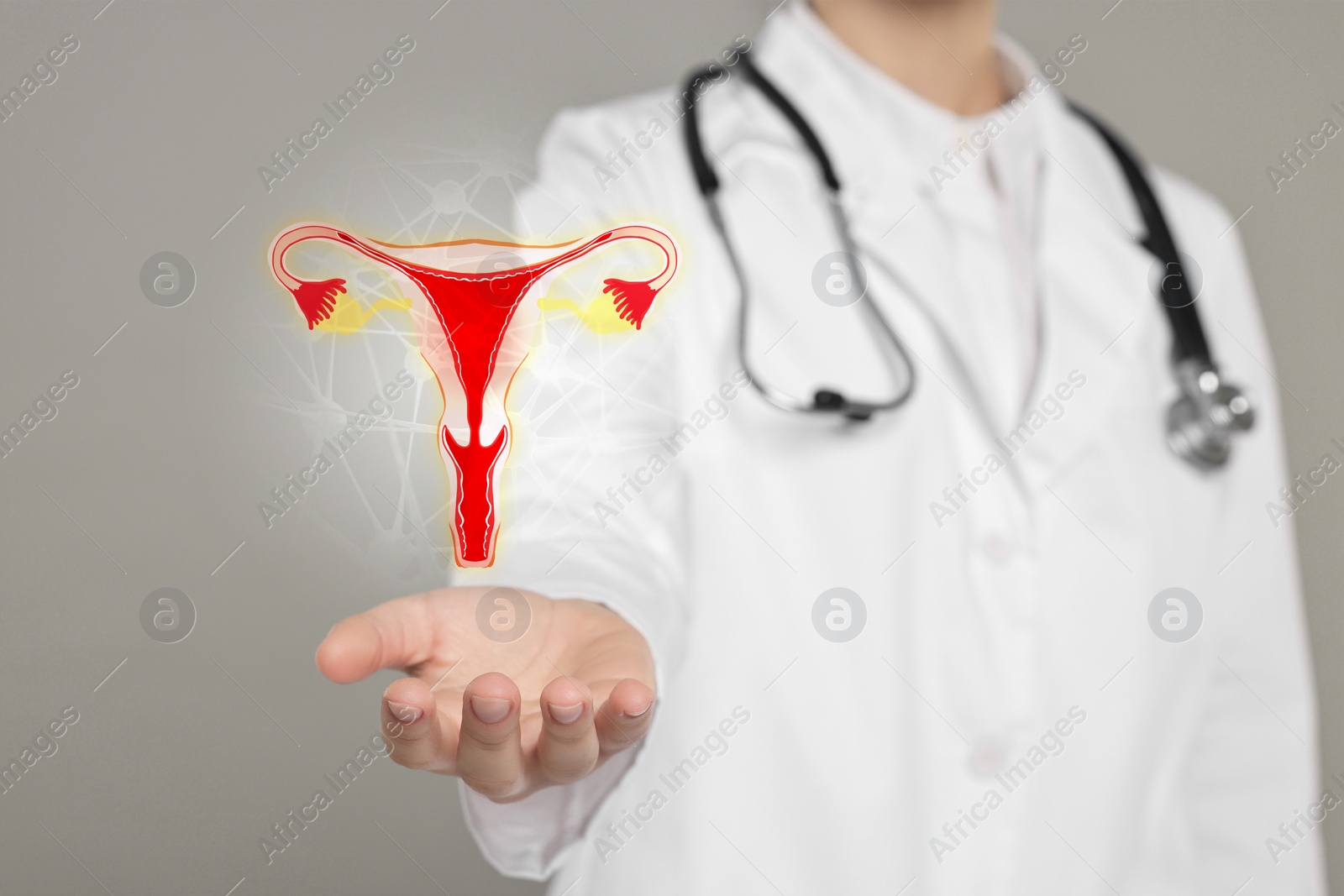 Image of Doctor and illustration of female reproductive system on grey background, closeup