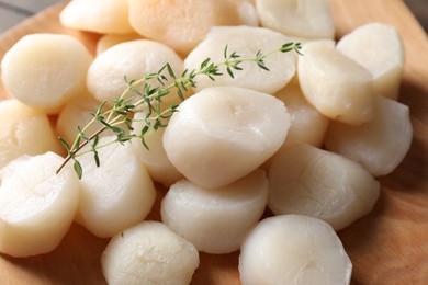 Photo of Fresh raw scallops and thyme on plate, closeup