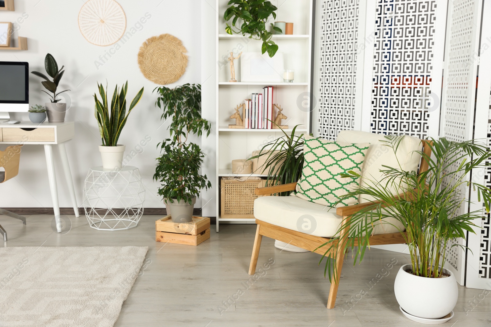 Photo of Stylish room interior with comfortable armchair and beautiful houseplants