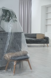 Photo of Modern furniture, houseplant covered with plastic film and box at home