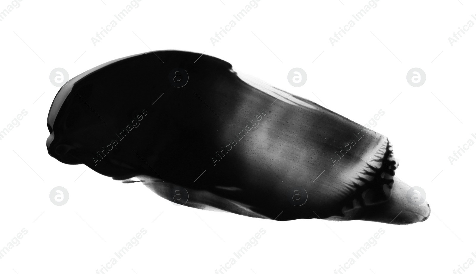 Photo of Black paint sample on white background, top view