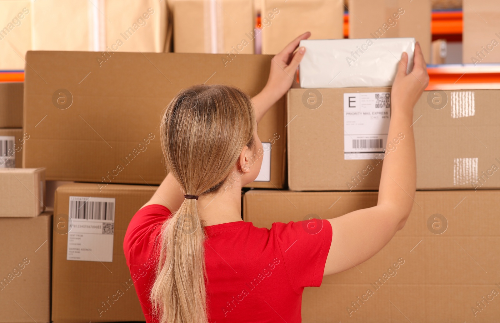 Photo of Post office worker taking parcel from rack indoors, back view