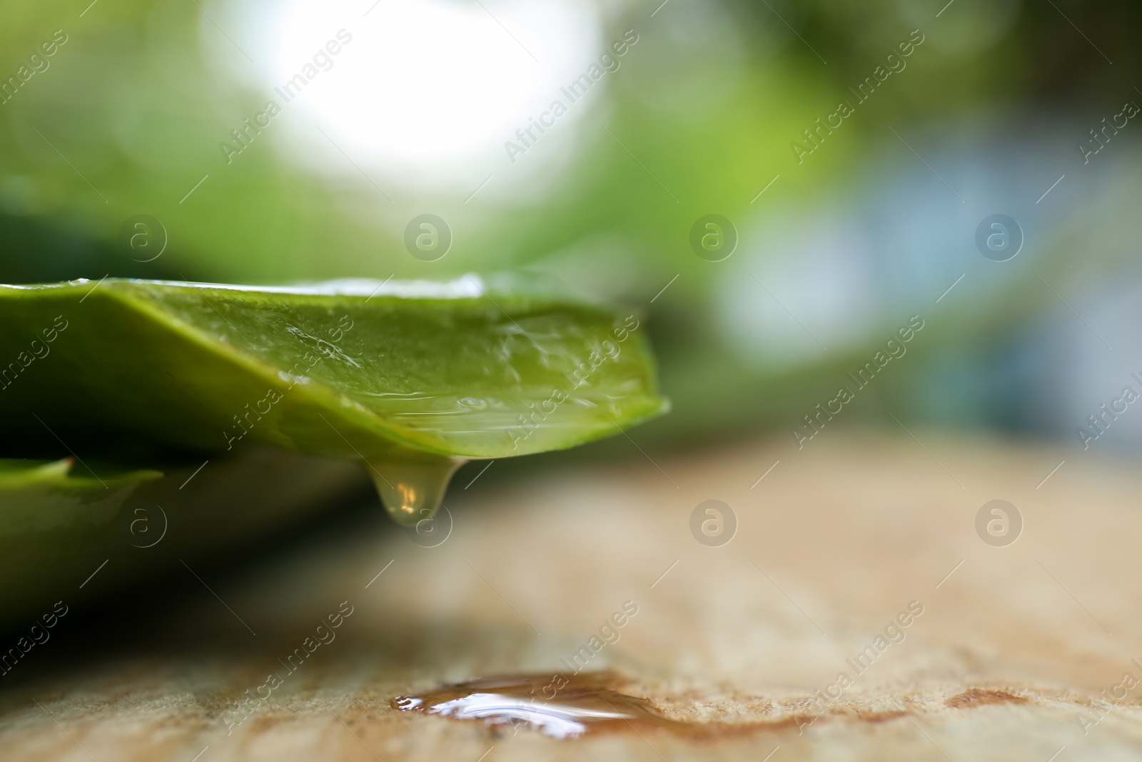 Photo of Fresh cut aloe vera leaves with dripping juice on wooden table, closeup. Space for text