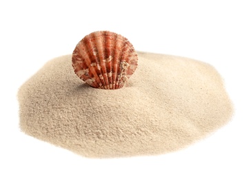 Pile of beach sand with sea shell isolated on white