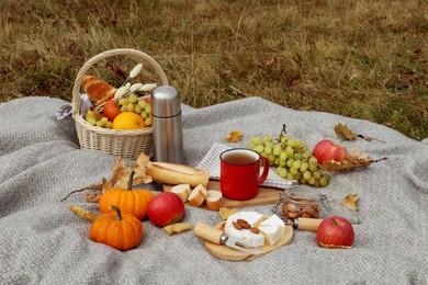 Photo of Blanket with picnic basket, snacks and autumn leaves outdoors