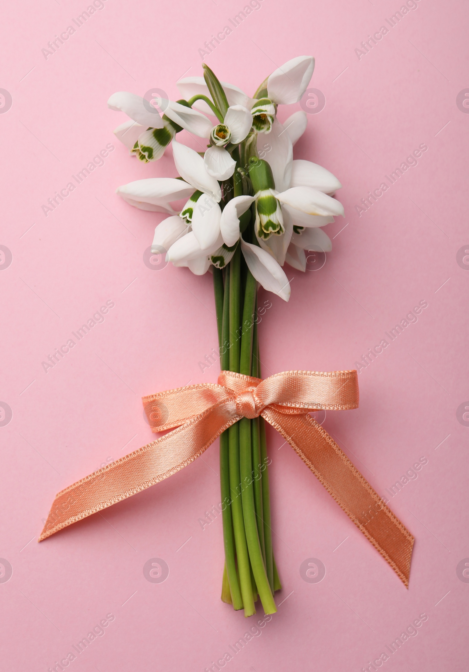 Photo of Beautiful bouquet of snowdrops on pink background, top view