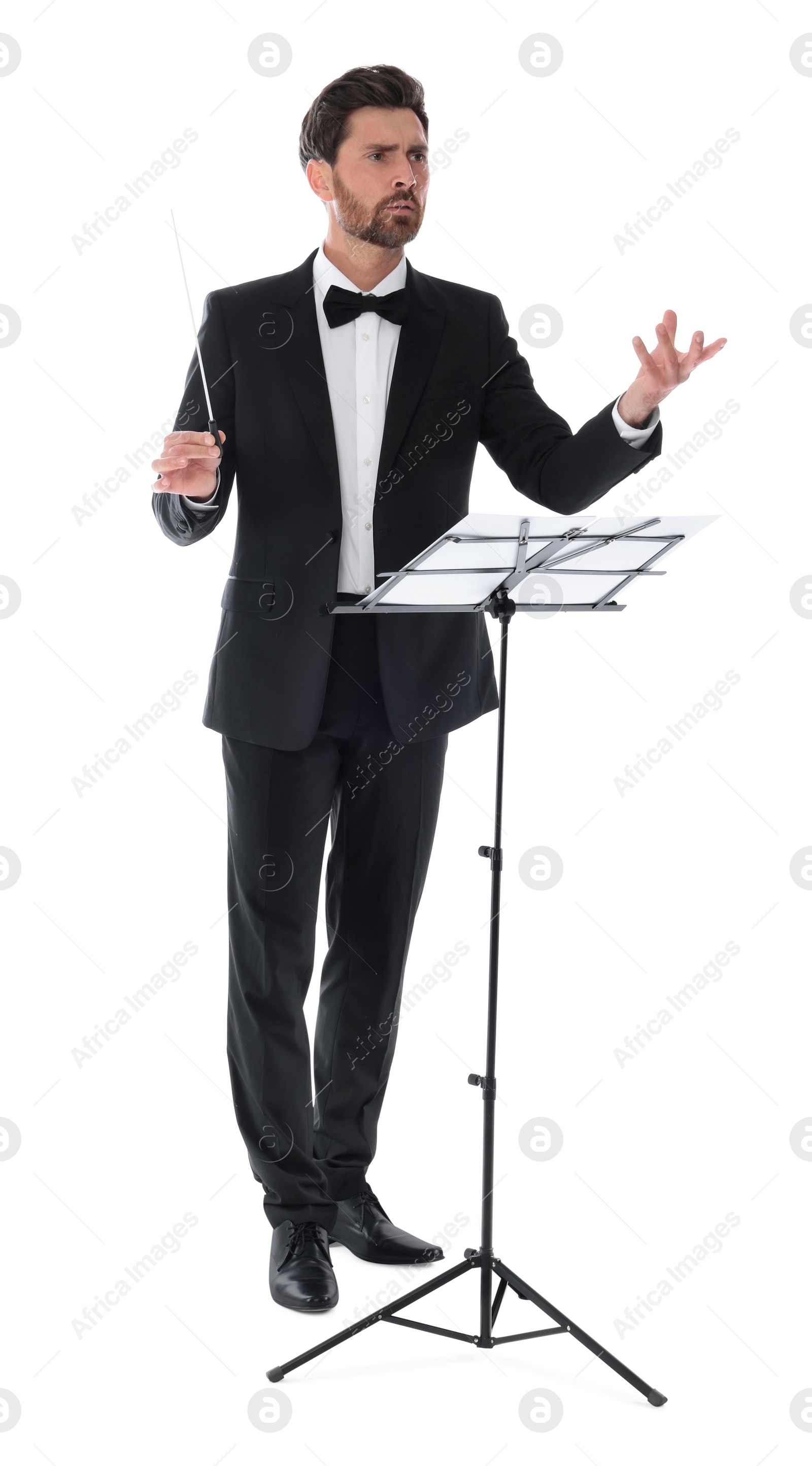 Photo of Professional conductor with baton and note stand on white background