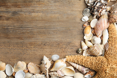 Sea shells on wooden background, flat lay. Space for text