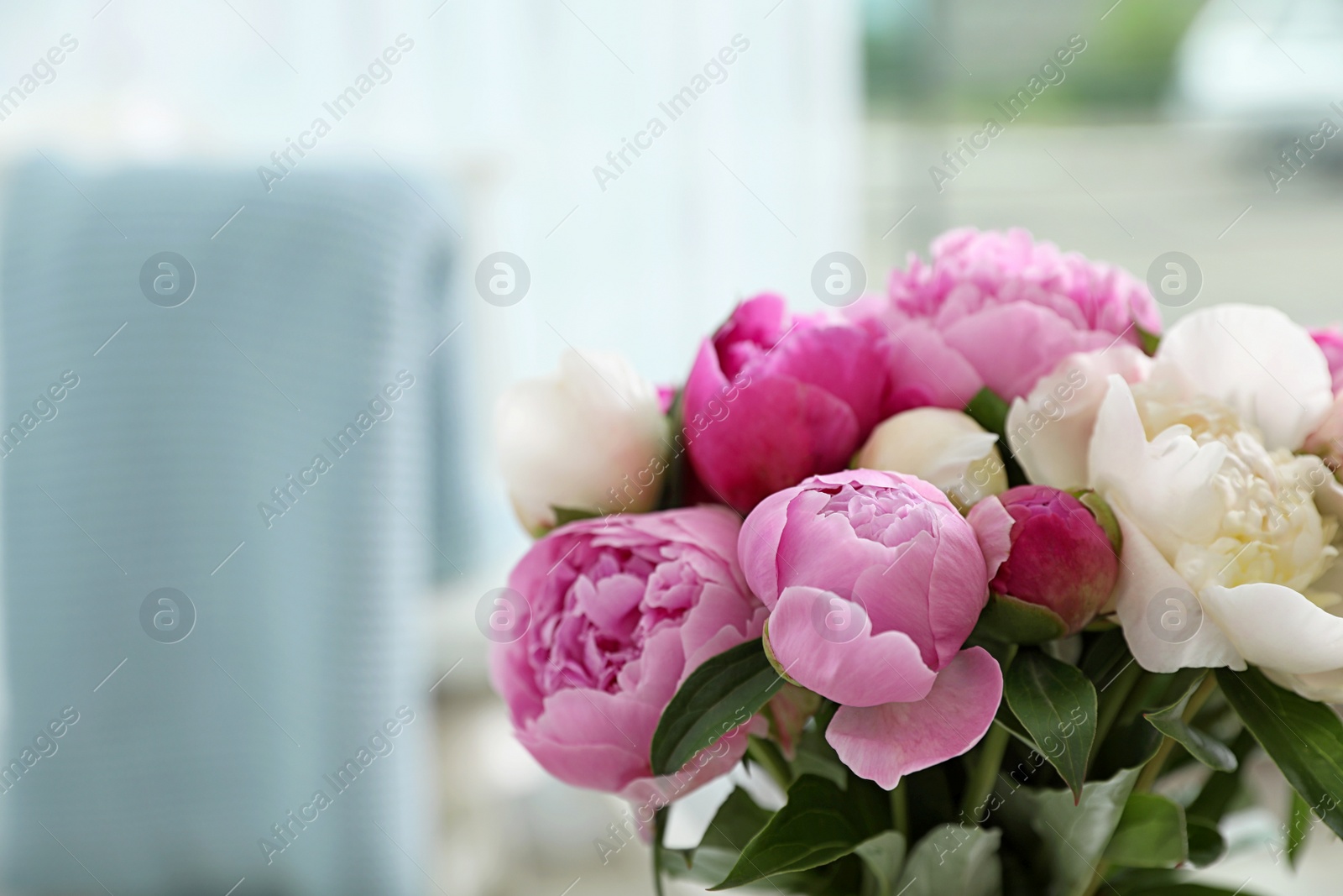 Photo of Bouquet of beautiful peonies in room, space for text