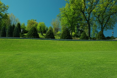 Photo of Beautiful viewlandscape with fresh green grass and trees outdoors