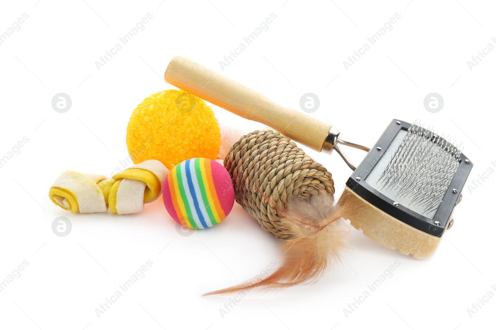 Photo of Cat's accessories on white background