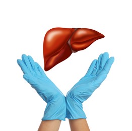 Image of Doctor in gloves and illustration of healthy liver on white background, closeup