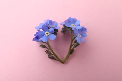 Heart of beautiful blue forget-me-not flowers on pink background, flat lay