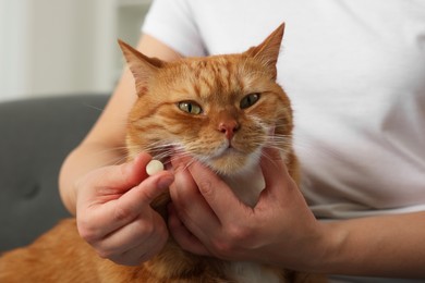 Photo of Woman giving vitamin pill to cute cat indoors, closeup