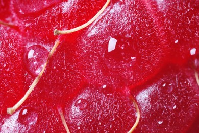 Photo of Ripe raspberry with water drops as background, macro view. Fresh fruit