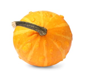 Photo of One fresh orange pumpkin isolated on white