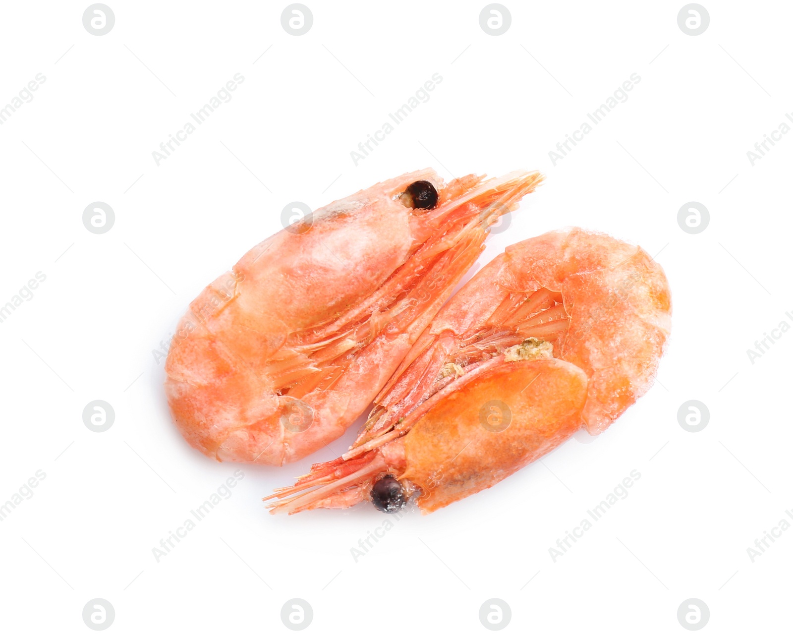 Photo of Raw shrimps covered with ice on white background, top view