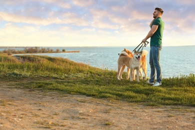 Photo of Young man walking his adorable Akita Inu dogs near river