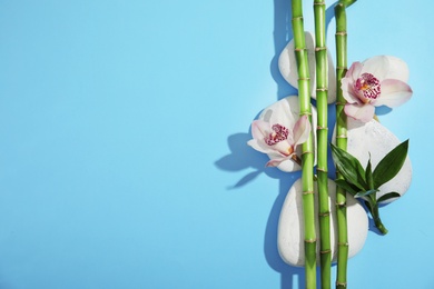 Photo of Composition with bamboo branches, flowers and spa stones on color background, top view. Space for text