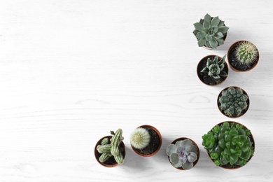 Flat lay composition with different succulent plants in pots on white wooden table, space for text. Home decor