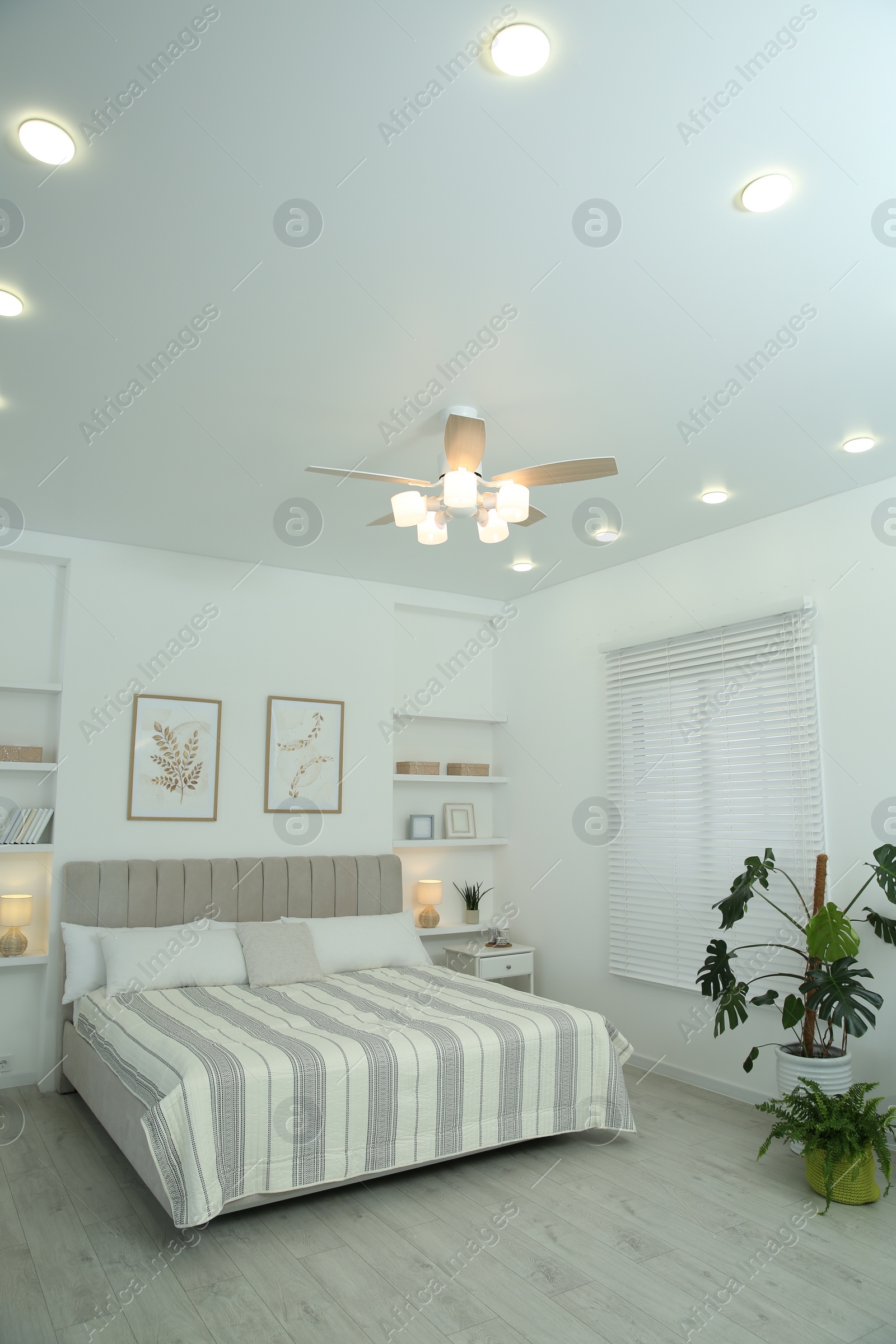 Photo of Comfortable furniture, ceiling fan, houseplants and accessories in stylish bedroom