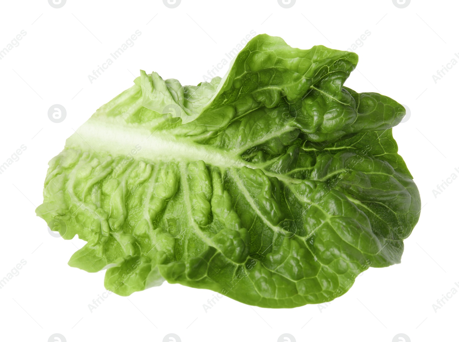 Photo of Fresh leaf of green romaine lettuce isolated on white