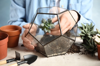 Photo of Woman transplanting home plants into florarium at table, closeup