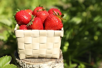 Photo of Basket of ripe strawberries on tree stump in field, closeup