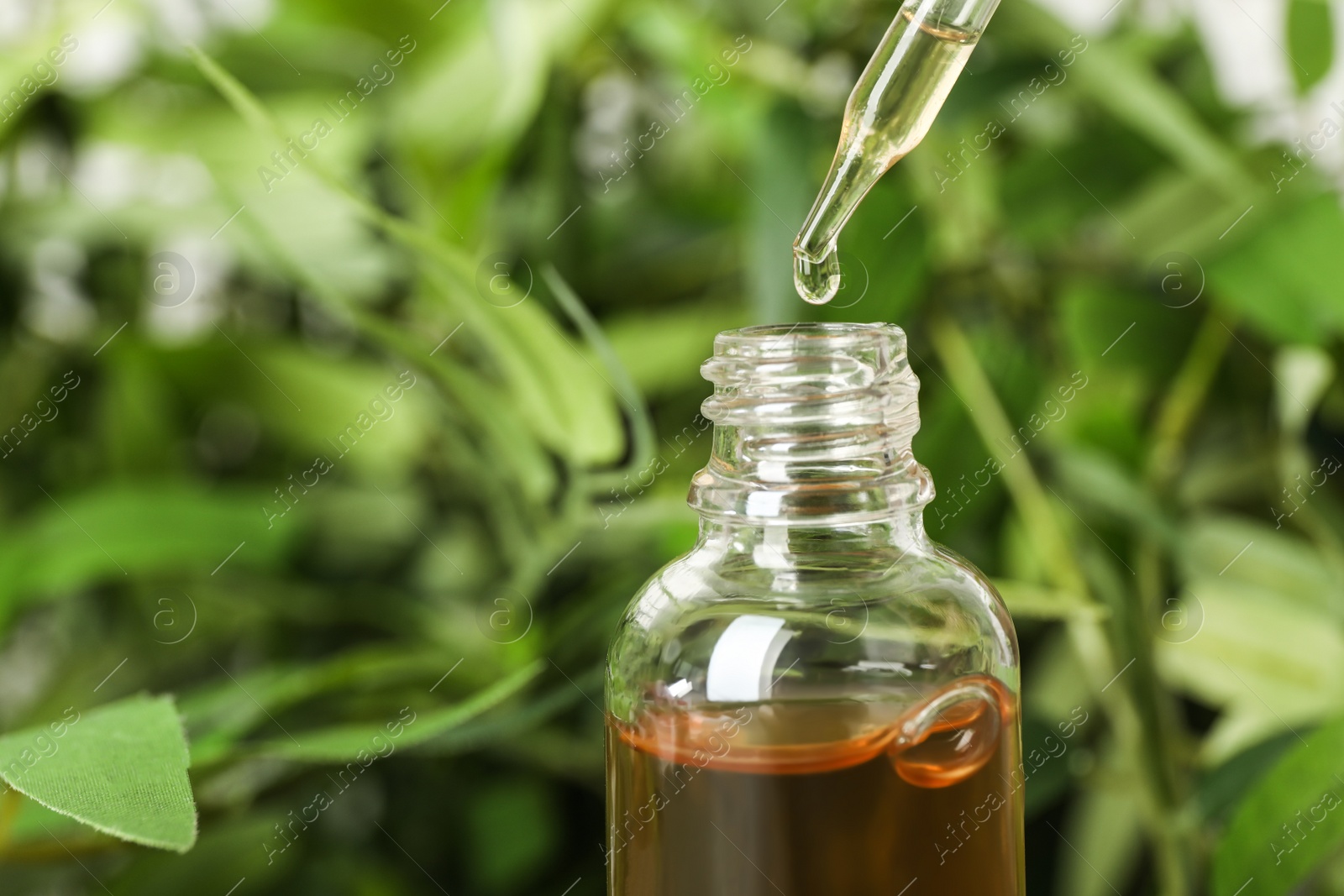 Photo of Pipette with essential oil over bottle on blurred background, closeup. Space for text