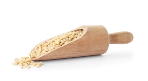 Photo of Scoop with pine nuts on white background