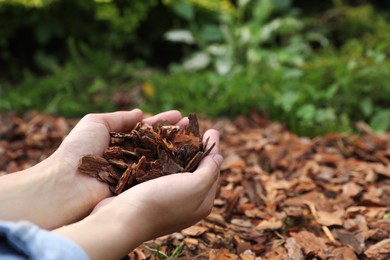 Woman holding bark chips in garden, closeup. Space for text