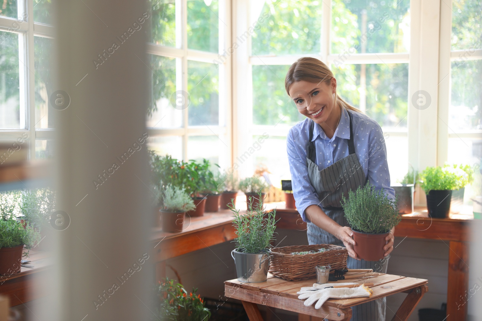 Photo of Young woman taking care of home plants at wooden table in shop, view through window