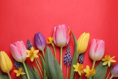 Photo of Beautiful different flowers on red background, flat lay